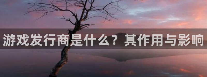 bbin视讯官网注册地址查询：游戏发行商是什么？其作用与影响