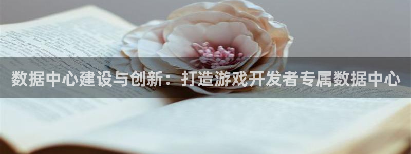 bbin视讯电子商务有限公司怎么样知乎：数据中心建设与创新：打造游戏开发者专属数据中心