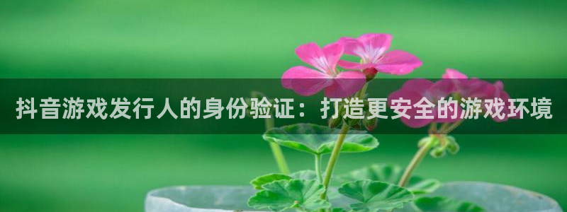 bbin视讯官网平台代理条件如何：抖音游戏发行人的身份验证：打造更安全的游戏环境