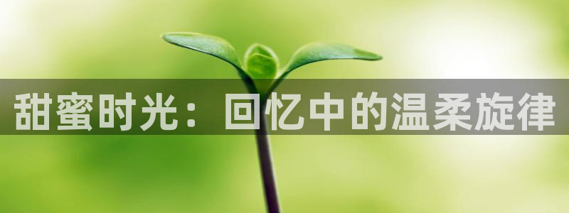 bbin视讯官网注册地址在哪里啊：甜蜜时光：回忆中的温柔旋律