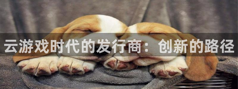 陕西bbin视讯子文化创意有限公司是做什么的：云游戏时代的发行商：创新的路径