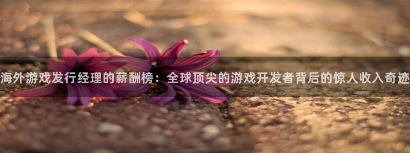 bbin视讯官网怎么注册账号：海外游戏发行经理的薪酬榜：全球顶尖的游戏开发者背后的惊人收入奇迹
