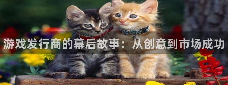 bbin视讯防水的质量怎么样：游戏发行商的幕后故事：从创意到市场成功