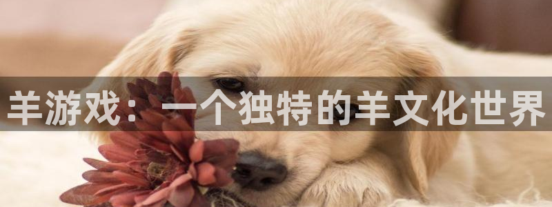 bbin视讯官网注册平台官网下载：羊游戏：一个独特的羊文化世界