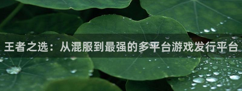 bbin视讯酒庄