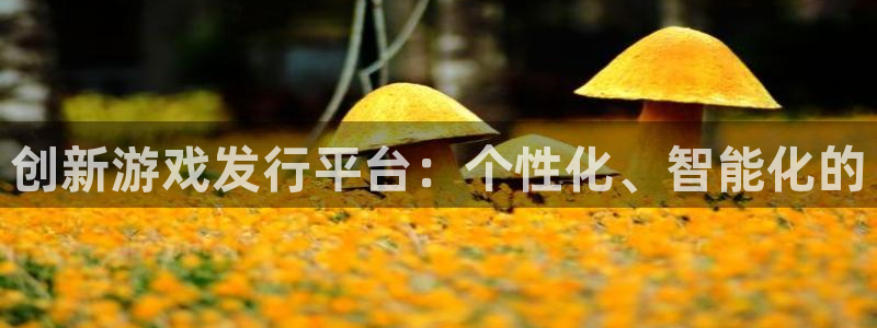 bbin视讯官网注册平台怎么样：创新游戏发行平台：个性化、智能化的