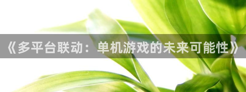 bbin视讯官网注册平台是什么软件：《多平台联动：单机游戏的未来可能性》