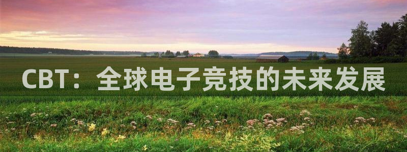 bbin视讯服装：CBT：全球电子竞技的未来发展