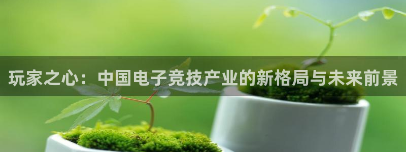 bbin视讯子经理人杂志：玩家之心：中国电子竞技产业的新格局与未来前景